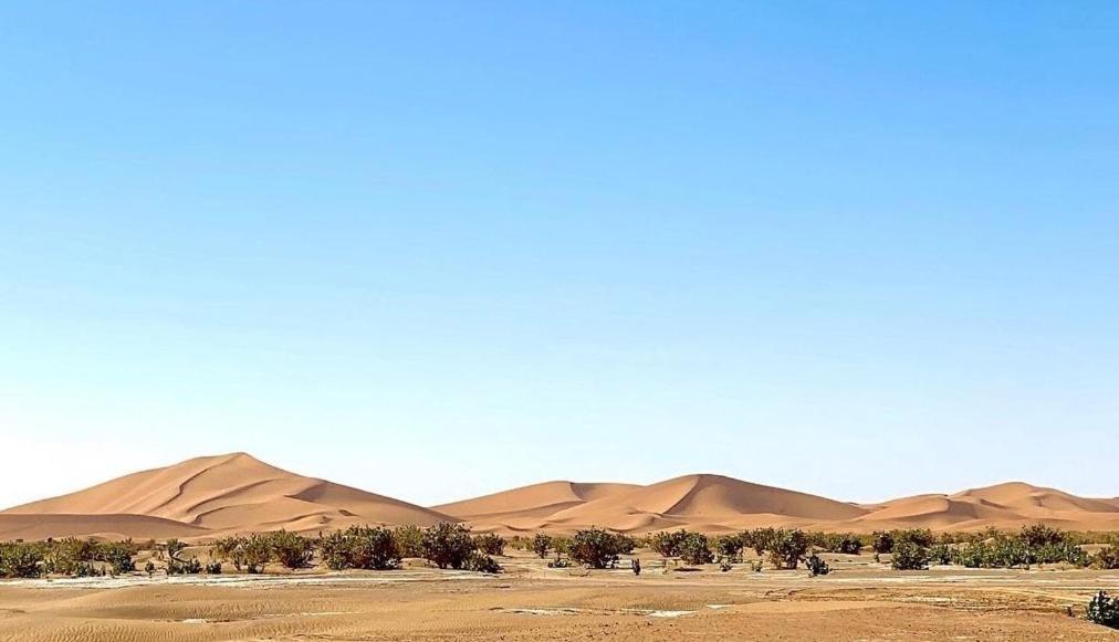 מחמיד Chegaga Desert Trips Camp מראה חיצוני תמונה