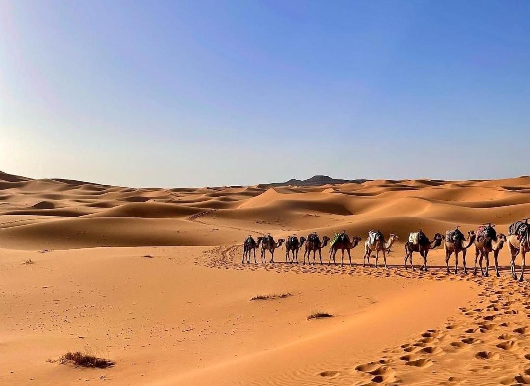 מחמיד Chegaga Desert Trips Camp מראה חיצוני תמונה